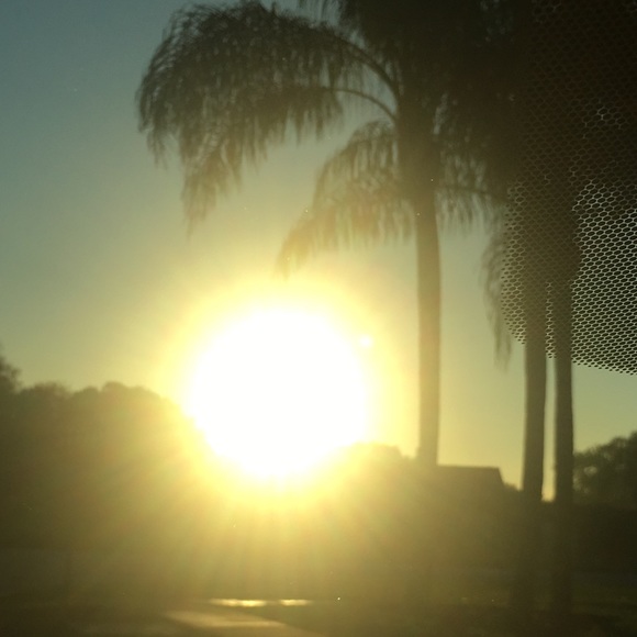 🌞Sunshine Is Happiness🌴 - Picture 2 of 2